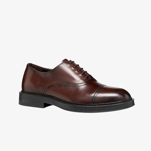 Baskets Geox Bexford Brown EUR 41 - Geox - Modalova