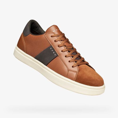 Baskets Geox Baltmoore Brown EUR 44 - Geox - Modalova
