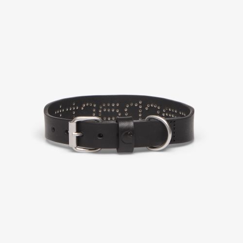 Script Studs Dog Collar - / Universal - Carhartt WIP - Modalova