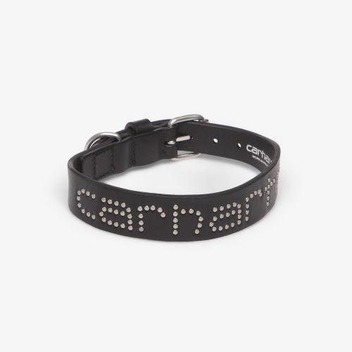 Script Studs Dog Collar - / Universal - Carhartt WIP - Modalova