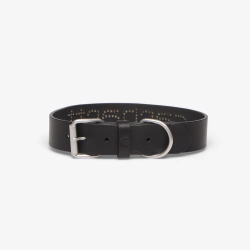 Script Studs Dog Collar - / Universal - Carhartt WIP - Modalova