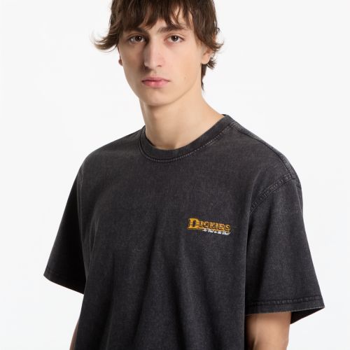 T-shirt Gainesville SS Tee M - Dickies - Modalova