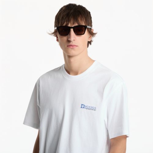 T-shirt Gainesville SS Tee M - Dickies - Modalova