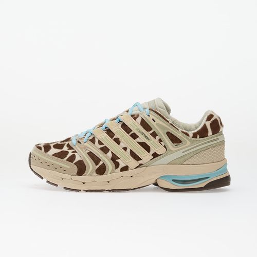 Baskets adidas Adistar Control 5 W / / EUR 37 1/3 - adidas Originals - Modalova