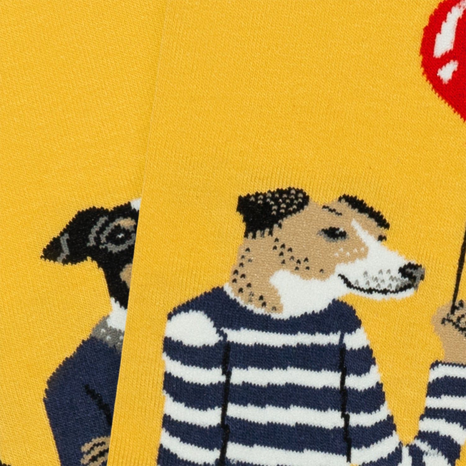 Modèle The Dreamer | Chaussettes Hommes et s | Jimmy Lion - Jimmy Lion - ES - Modalova