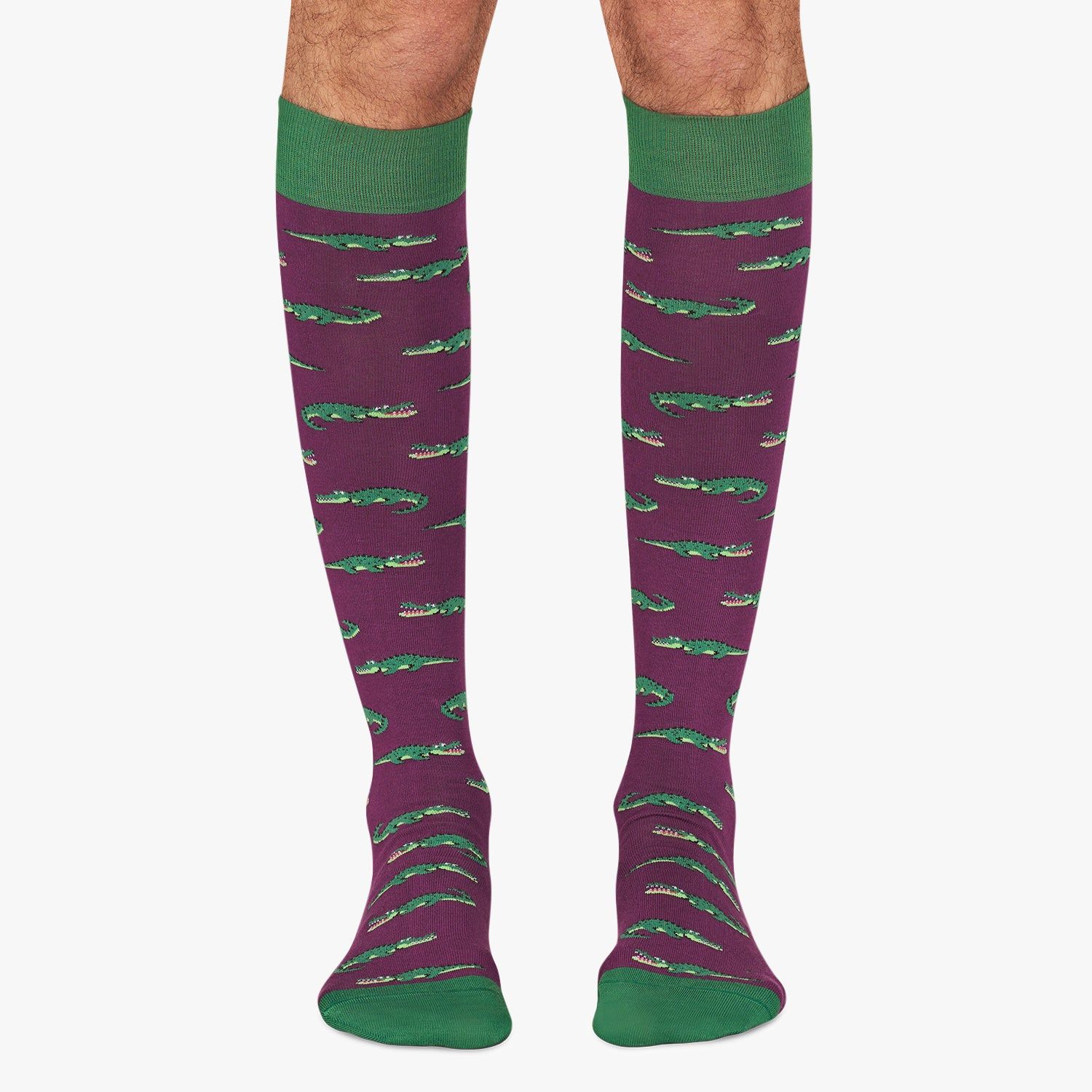 Chaussettes Hautes Homme et Modèle KH Crocodiles | Jimmy Lion - jimmylion-es - Modalova