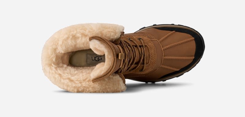 Botte Adirondack XXV | UE in Brown, Taille 40, Cuir - Ugg - Modalova
