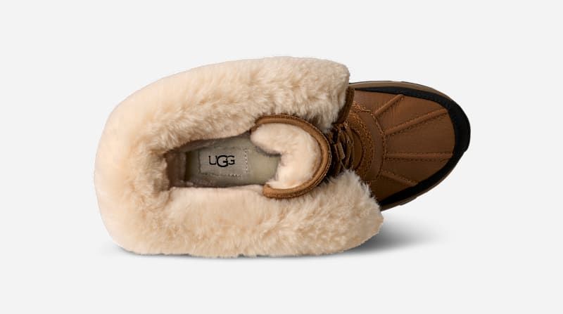 Botte Adirondack Tall XXV in Brown, Taille 38, Cuir - Ugg - Modalova