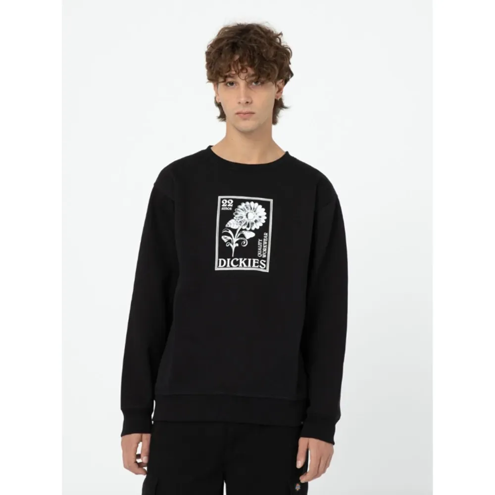 Sweatshirts & Hoodies > Sweatshirts - - Dickies - Modalova