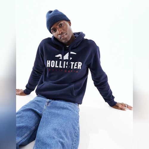 Sweat Capuche Hollister pour Homme Modalova
